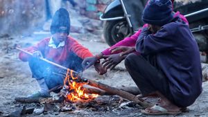 Delhi-NCR Faces Chilly Mornings, 'Very Poor' Air Quality As Cold Wave Intensifies In North India