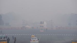 Delhi Weather Forecast: Dip In Temperature, Dense Fog And Cold Waves To Continue In North India
