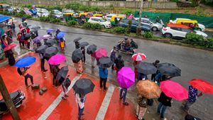 Karnataka Weather Alert: 2-Day Rain Forecast For Bengaluru, Shivamogga Under IMD's Yellow Warning