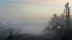 Karnataka Weather: Cold Wave Alert Issued For Karnataka As Fog Disrupts Travel