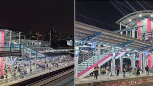Mumbai Local Train Services Update: WR Plans Safety-Boosting Hoardings On Station Fences