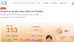 Mumbai Air Quality Index Worsens: BMC Unveils New Guidelines To Tackle Pollution; Check Inside