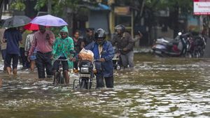 Heavy Rains Lash Tamil Nadu, Pondy; Cyclonic Storm 'Fengal' Makes Landfall