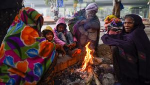 Telangana Weather: IMD Issues Cold Wave Alert For Telangana Until December 14