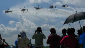 Aero India 2025: Bengaluru Bans Meat Sales Near Yelahanka Air Force Station
