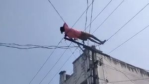 Andhra Pradesh Man Climbs Electric Pole, Lies On Wires After Argument With Mom