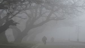 Karnataka Weather Update: IMD Issues Severe Cold Wave Alert In THESE Districts