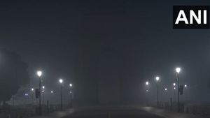 Delhi-NCR Shiver Under Cold Wave; IMD Predicts Rain Amid Dense Fog