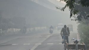 Air Quality in Delhi Plummets, GRAP-3 Restrictions Imposed After AQI Crosses 300 