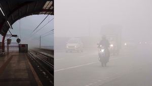 Delhi Fog Disruptions: Over 100 Flight Delays And 26 Trains Affected – Full List Inside