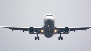 Dense Fog Disrupts Life In North India, Over 200 Flights Delayed In Delhi