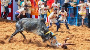 Jallikattu: 1 Dead, 75 Injured During Madurai Bull-Taming Event