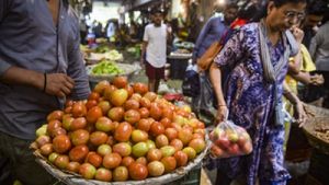 Vashi APMC Market Overflow: Tomatoes, Vegetables Witness Drastic Price Cuts
