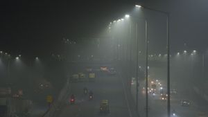 Mumbai-Delhi Expressway Accidents: Dense Fog Causes Two Major Accidents, Several Injured