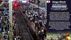 Mumbai Local Train Services Mega Block: Key Routes Face Major Delays And Cancellations; Details Inside