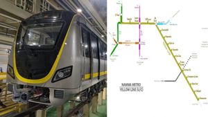 Namma Metro Yellow Line Work To Kick Off January 6: Traffic Relief In THESE Bengaluru Areas Soon