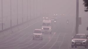 Noida Schools Shut For Classes 1-8 Amid Intense Cold And Fog—Stay Updated!
