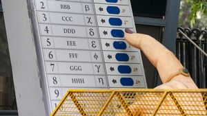 Delhi Assembly Polls: CEO Vaz Assures Voter-Friendly Steps For Smooth February 5 Voting