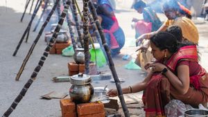 Pongal-Sankranthi Quotes: Here Are Wishes, Messages, Greeting Wordings To Share With Well Wishers