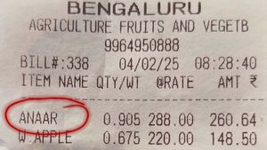 Hindi Vs Kannada Debate Reignites As Bengaluru Man Objects To 'Anaar' On Receipt