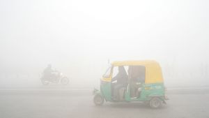 Delhi-NCR Engulfed By Dense Fog, Travel And Air Quality Disrupted Amid Warmer January