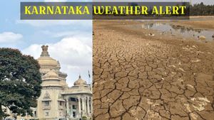 Karnataka Weather Alert: Warm February for Bengaluru? IMD Predicts Dry Days Until February 14