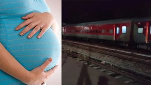 Tamil Nadu: Andhra Pregnant Woman Molested, Pushed Off Train In Vellore By Murder Accused On Bail