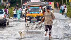 Karnataka Weather Alert: Thunderstorms and Rain Expected in Four Districts, Including Kodagu