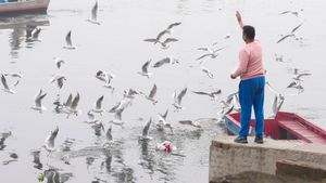 Feeding Birds Harmful Food? Mumbai Imposes Fines; Check What’s Banned And The Penalty Inside