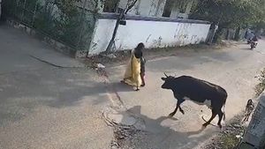 Caught On Cam: Stray Cow Attacks Woman & Her Child; Netizens Slam Chennai Authorities