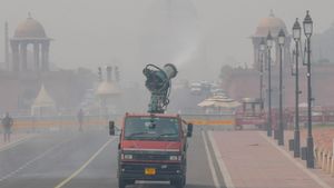 Cleanest Day In Delhi! AQI Marked 85 In National Capital