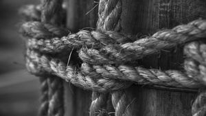Teen Boy And Girl Found Hanging from Tree In Delhi’s Hauz Khas