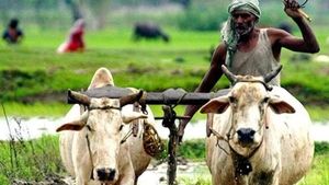 Tamil Nadu: A Special Package For Paddy Growers & International Exposure Visit For Farmers