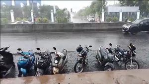 Tamil Nadu Weather: Kallakurichi Records Over 160 MM Of Rainfall - Check How It Rained In Other Dists