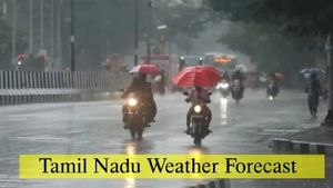 Tamil Nadu Weather Alert: 7 Dists Today, 10 Tomorrow To Get Heavy Rains