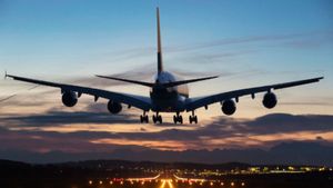 Bengaluru Flyer’s In-Flight Rant Sparks Buzz: Can’t You Hold It for 2 Hours? 