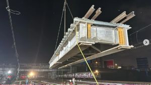 Bridge Over Mithi River Rebuilt Overnight: Western Railway Completes Major Task