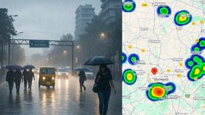 Karnataka Weather Alert: Rainy Weekend Ahead as Bengaluru Put on Yellow Alert; Check Latest IMD Forecast