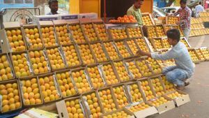 Mango Prices In Mumbai: Here’s What You Will Pay For The Best Mango Varieties This Summer