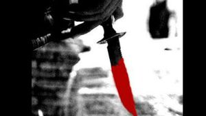 Delhi Crime: Woman Stabbed Multiple Times With A Sharp Knife