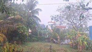Tamil Nadu Weather Update: 17 Dists On Yellow Alert - Will It Rain In Chennai Today? Find Out