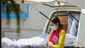 Karnataka COVID Death: Amid 3rd Fatality, State Sees Surge With 367 Active Cases, 