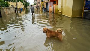 Karnataka Rains: Is There a Holiday for Schools on Wednesday, May 21 As IMD Issues Alert?