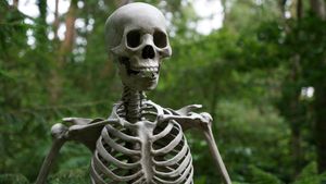Spooky Selfie: Drunk Man In West Bengal Caught Taking Pics With Skeleton Dug Up From Grave, Gets Thrashed