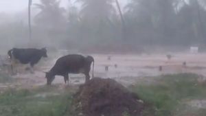 Tamil Nadu Weather: Nilgiris On Orange, 12 Districts On Yellow Alert Today