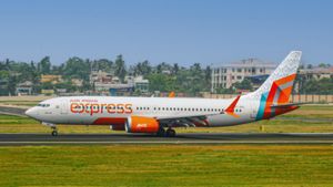Bengaluru Doctor Warns Crew 'Will Crash Plane' After Argument on Flight