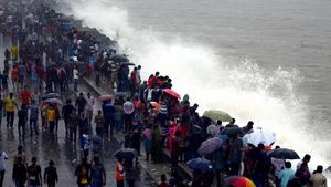 Maharashtra Weather Alert: Heavy Rains In Mumbai; High Tide Alert Issued by BMC