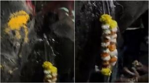 Pune Residents Worship Tree Gushing Out 'Holy Water', It Turns Out To Be Leaking Pipe | WATCH