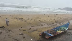 Tamil Nadu Weather: Chennai Braces For Above-Normal Rainfall In June
