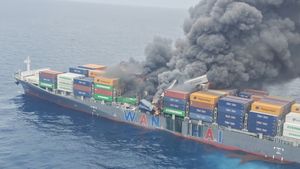 Burning Singaporean Vessel Off Kerala Coast Carries Acids, Gunpowder, Batteries; Raises Environmental Risks